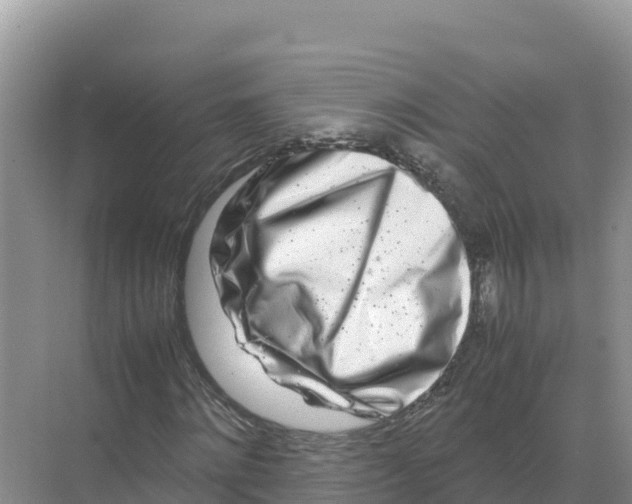 X0000070210868200606232102