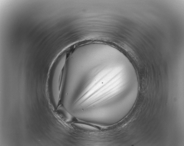 X0000070210880200606232102
