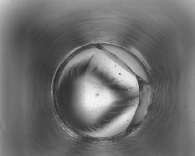 X0000070210884200606232102