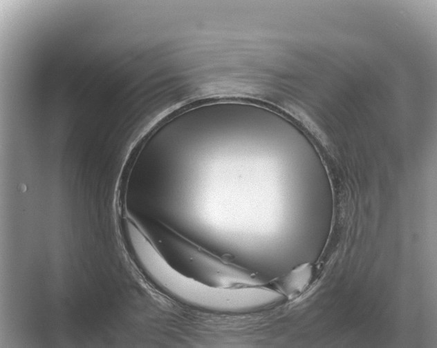 X0000070210885200606232102