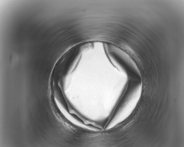 X0000070210892200606232101