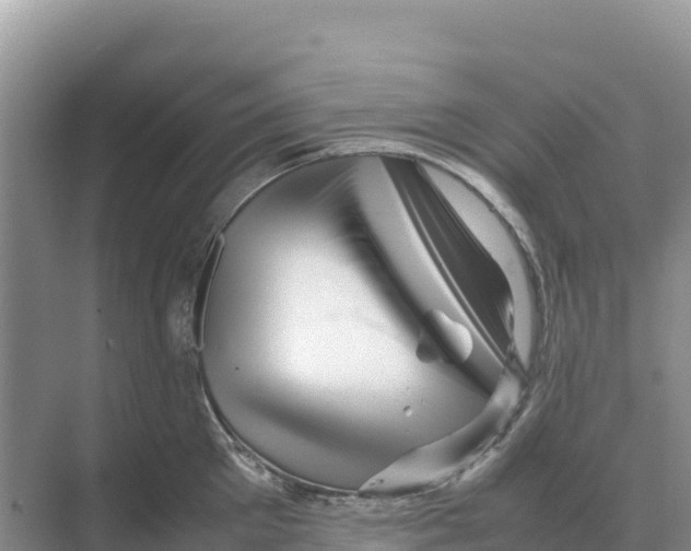 X0000070210905200606232101