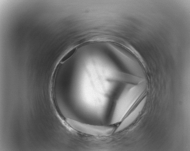 X0000070210909200606232101