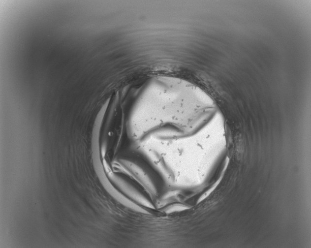 X0000070210916200606232100