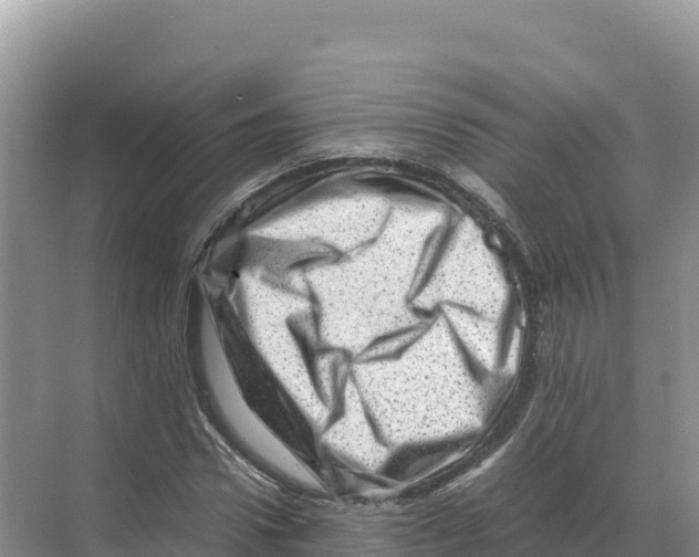 X0000070210922200606232100