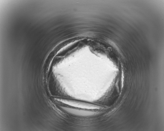 X0000070210923200606232101