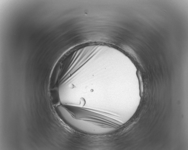 X0000070210924200606232101