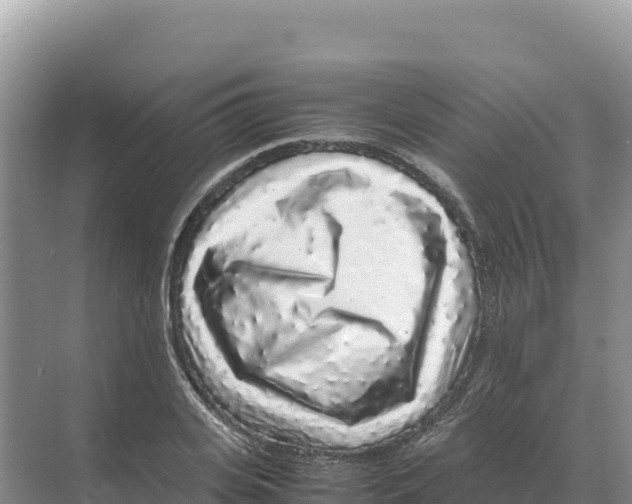 X0000070210935200606232101