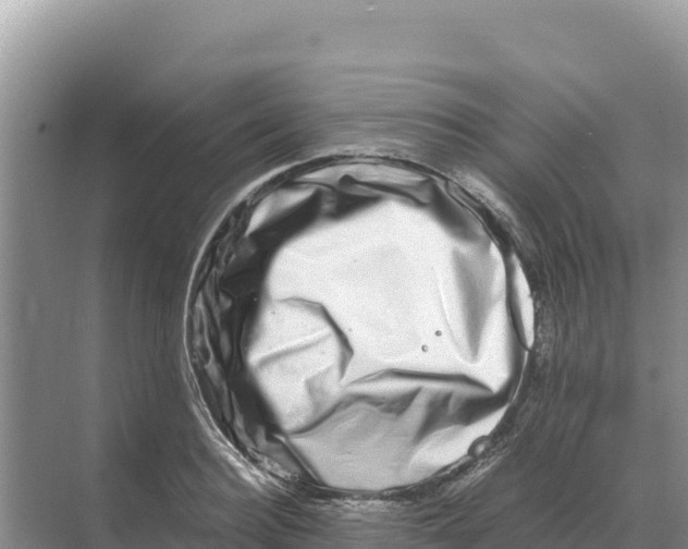 X0000070210940200606232101
