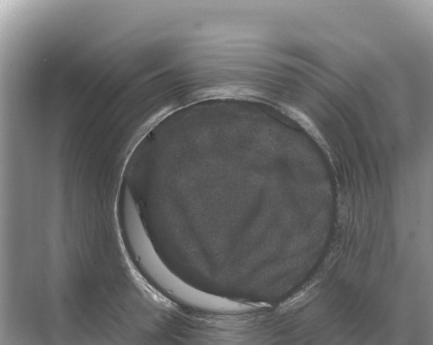 X0000070210946200606232101