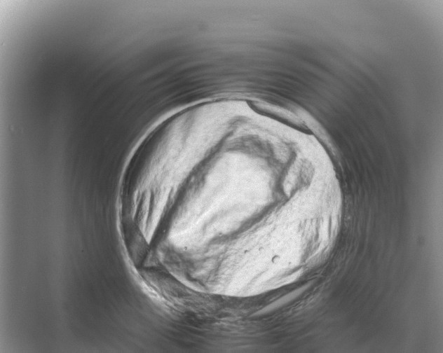 X0000070210955200606232101