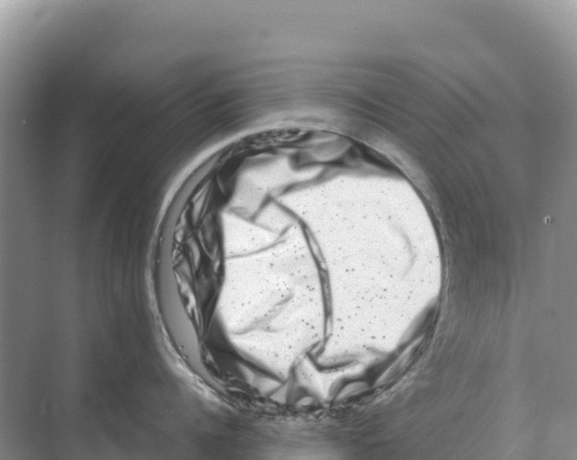 X0000070210960200606232101