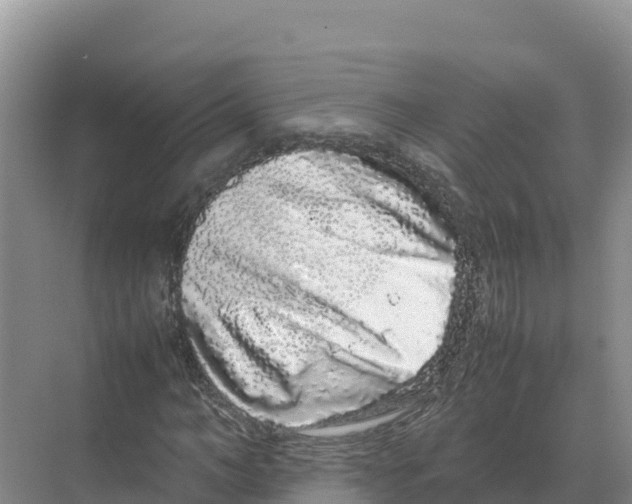 X0000070210966200606232100