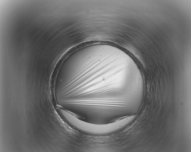 X0000070210972200606232100