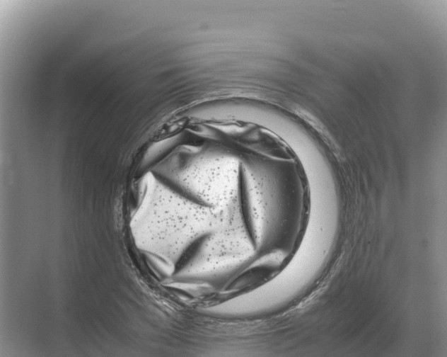 X0000070210977200606232100