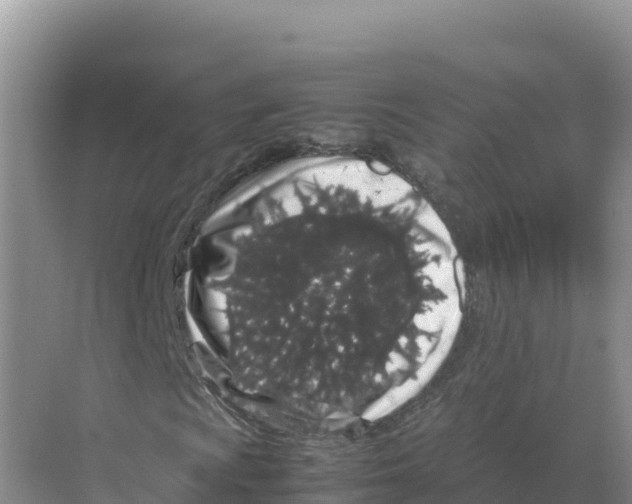 X0000070211009200606232059
