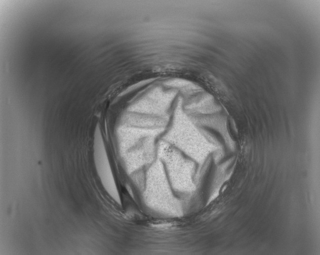 X0000070211012200606232059
