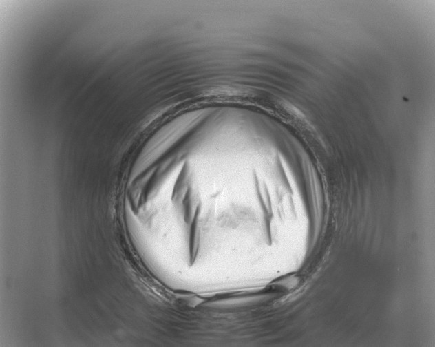 X0000070211017200606232059