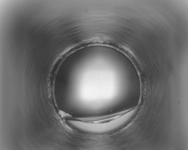 X0000070211018200606232059
