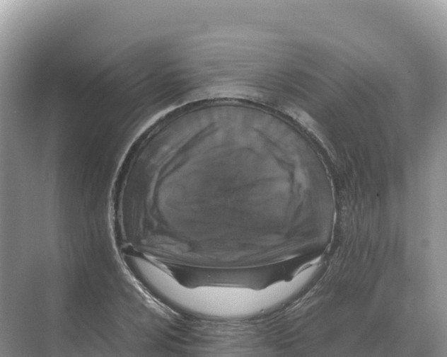 X0000070211024200606232059