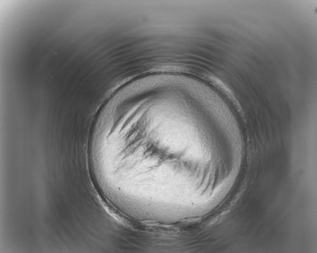 X0000070211041200606232059