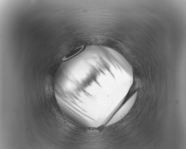 X0000070211058200606232059
