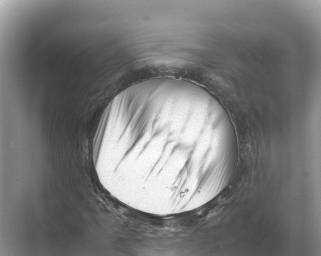 X0000070211061200606232059