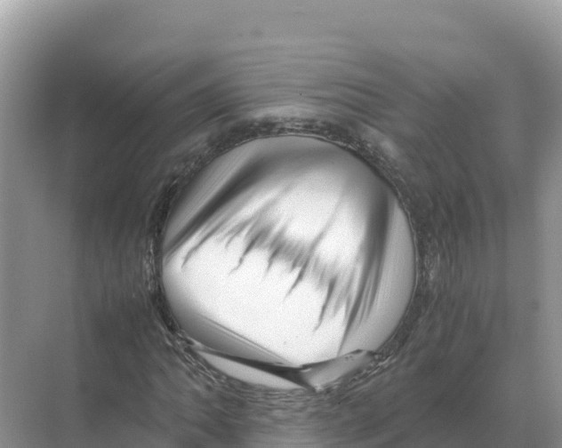 X0000070211062200606232059