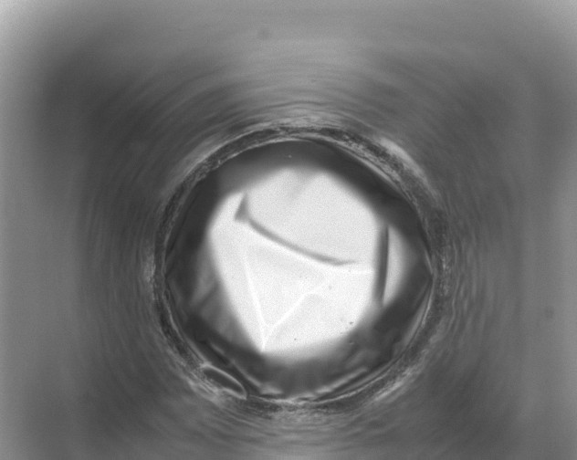 X0000070211065200606232059