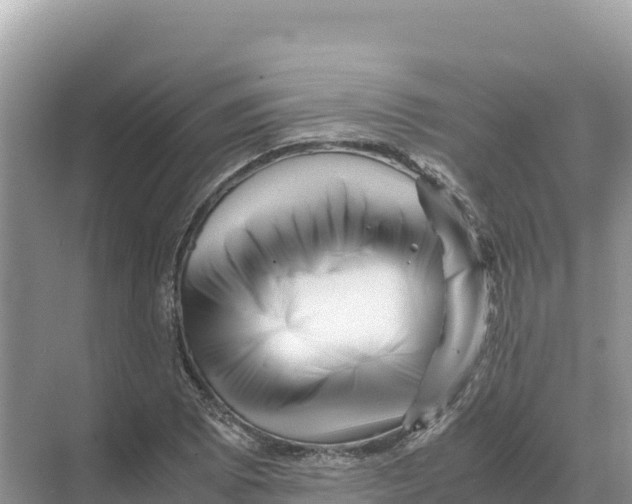 X0000070211073200606232058