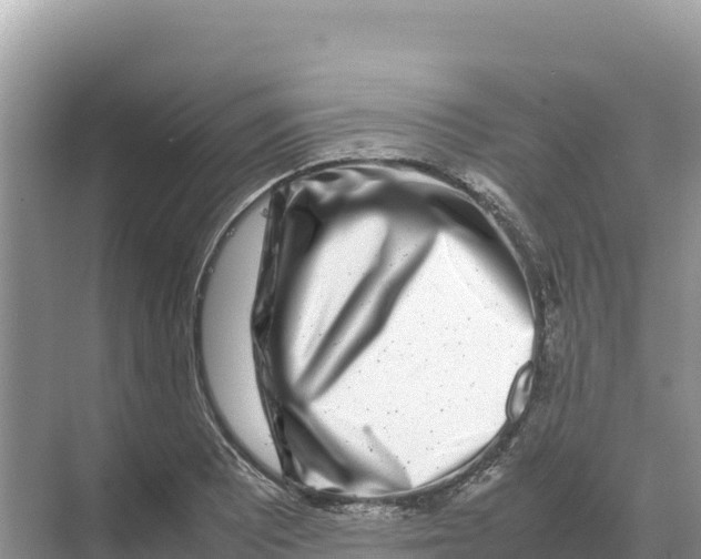 X0000070211081200606232058
