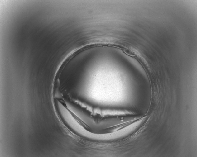 X0000070211085200606232058