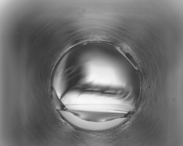 X0000070211089200606232058