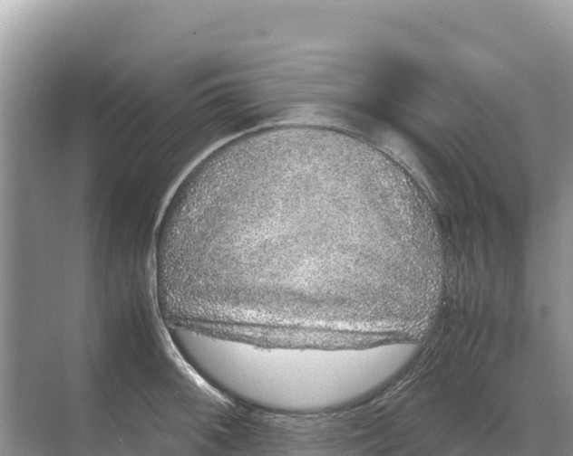 X0000070211092200606232058