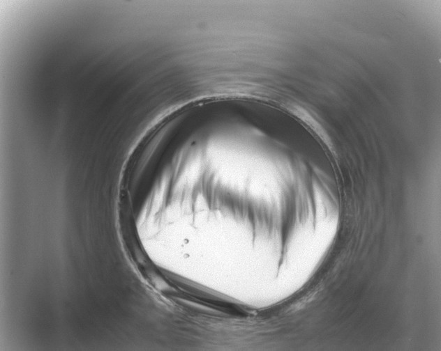 X0000070211093200606232058