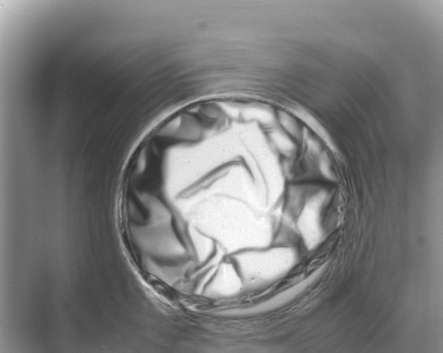 X0000070211101200606232058