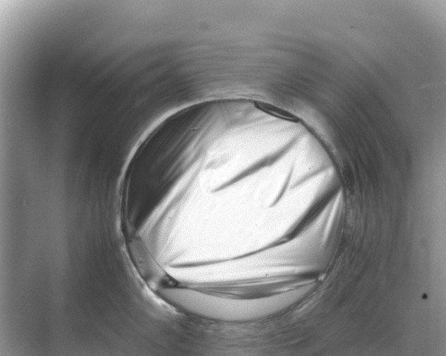 X0000070211102200606232058