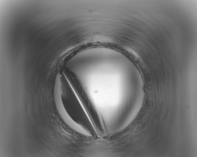X0000070211112200606232057