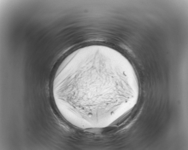 X0000070211113200606232057
