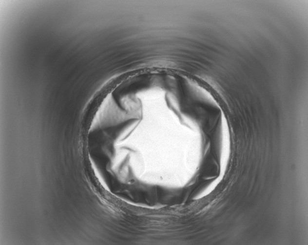 X0000070211115200606232057