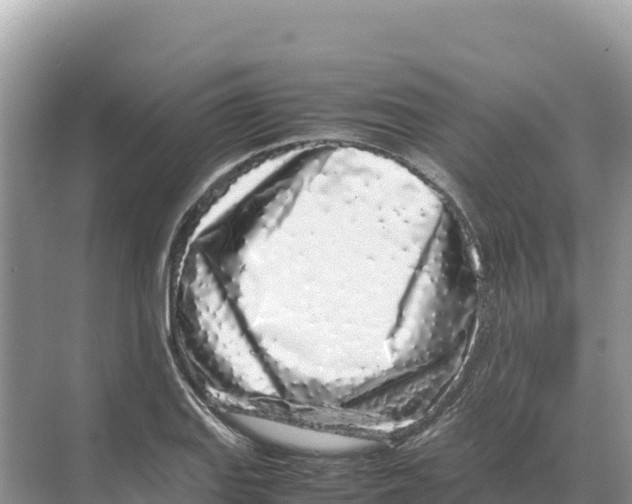 X0000070211127200606232057