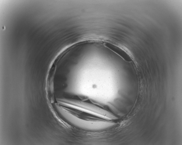 X0000070211128200606232057