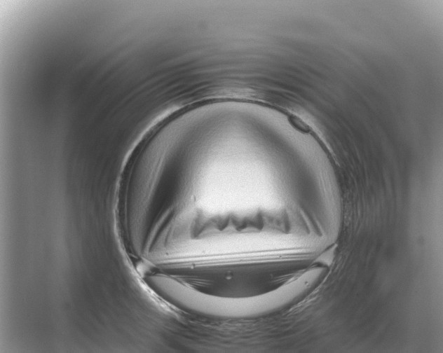 X0000070211139200606232058