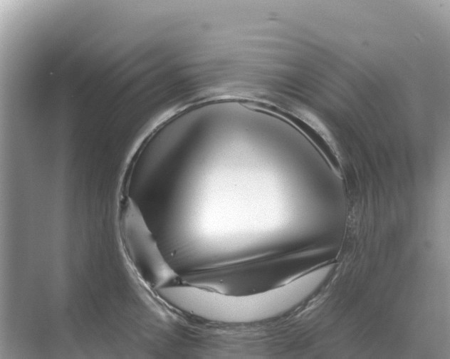 X0000070211146200606232058