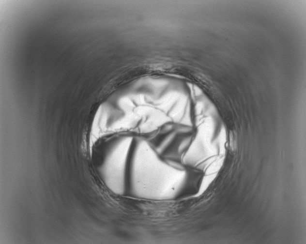 X0000070211155200606232057