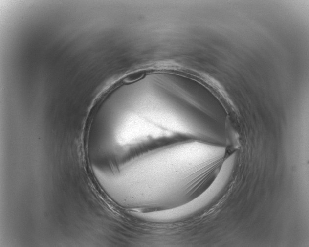 X0000070211176200606232057