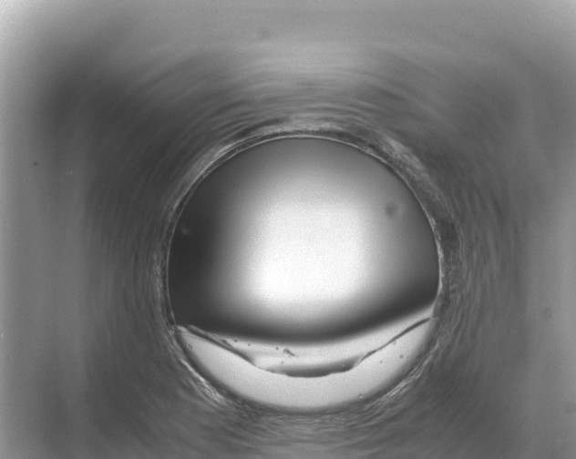 X0000070211177200606232057