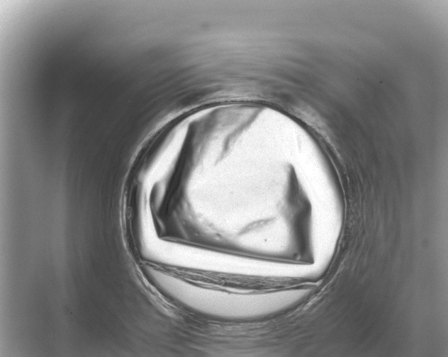 X0000070211179200606232057