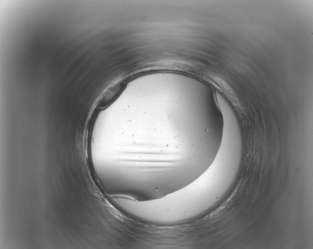 X0000070211180200606232057