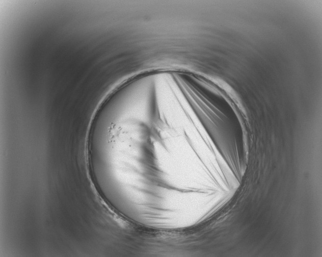 X0000070211191200606232056